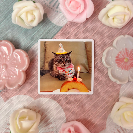 Birthday Cat Sticker