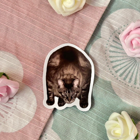 Scary Fat Cat Sticker