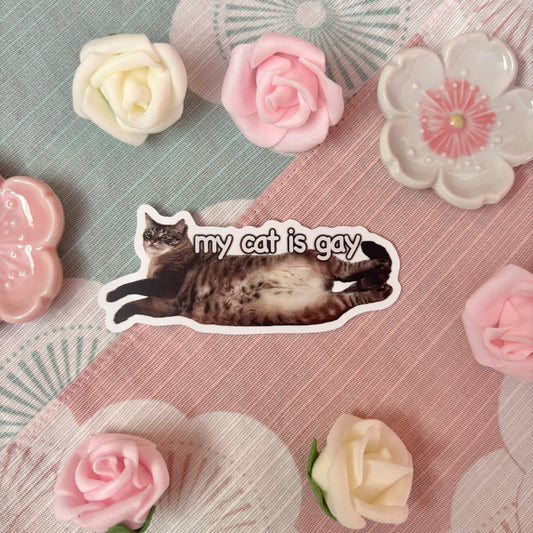 my cat is gay Sticker