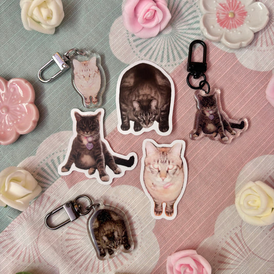Meme Cats Stickers & Keychains