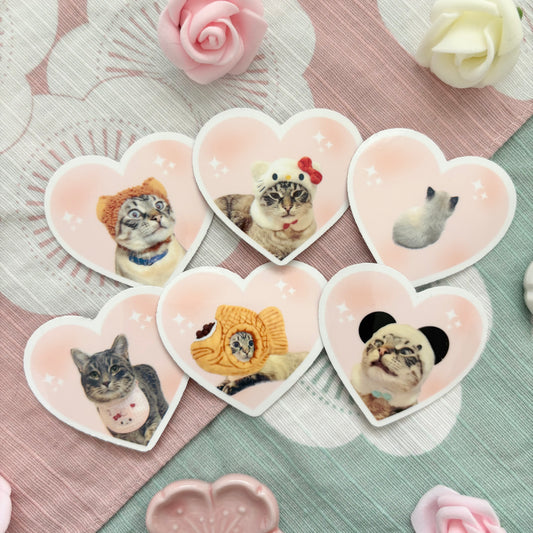 Cat Stickers