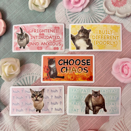 Funny Cat Stickers